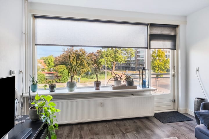 Foto 7 van Willem Ruysplein 15