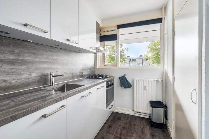 Foto 11 van Willem Ruysplein 15