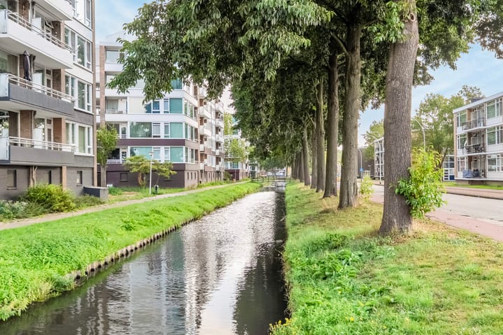 Foto 24 van Willem Ruysplein 15