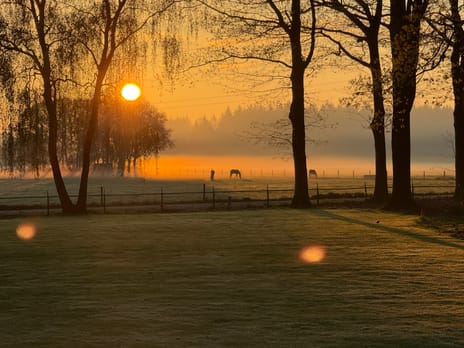 Lunterse Bosweg 6 tertiary image