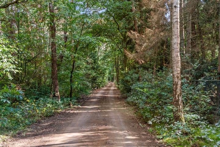 Foto 7 van Moftbos 8