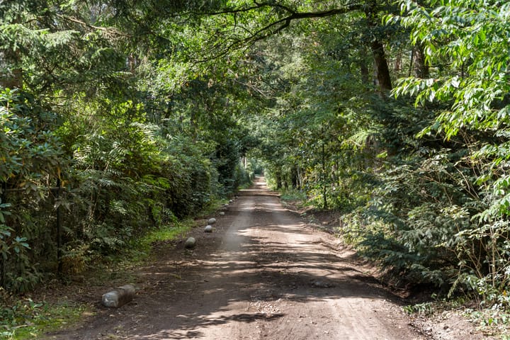 Foto 8 van Moftbos 8