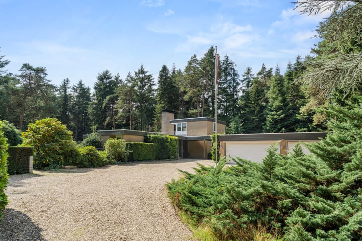 Foto 11 van Moftbos 8