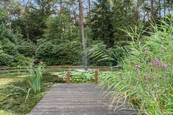 Foto 25 van Moftbos 8