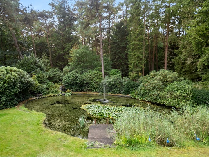 Foto 26 van Moftbos 8