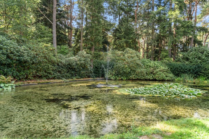 Foto 27 van Moftbos 8