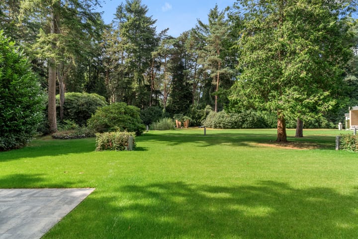 Foto 31 van Moftbos 8