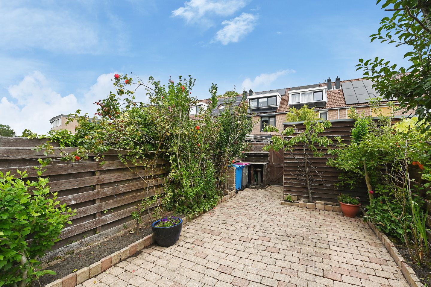 Foto 4 van Vrouwenmantel 13