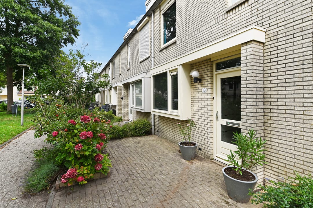 Foto 7 van Vrouwenmantel 13