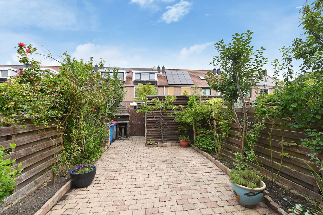 Foto 11 van Vrouwenmantel 13