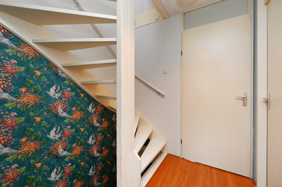 Foto 22 van Vrouwenmantel 13