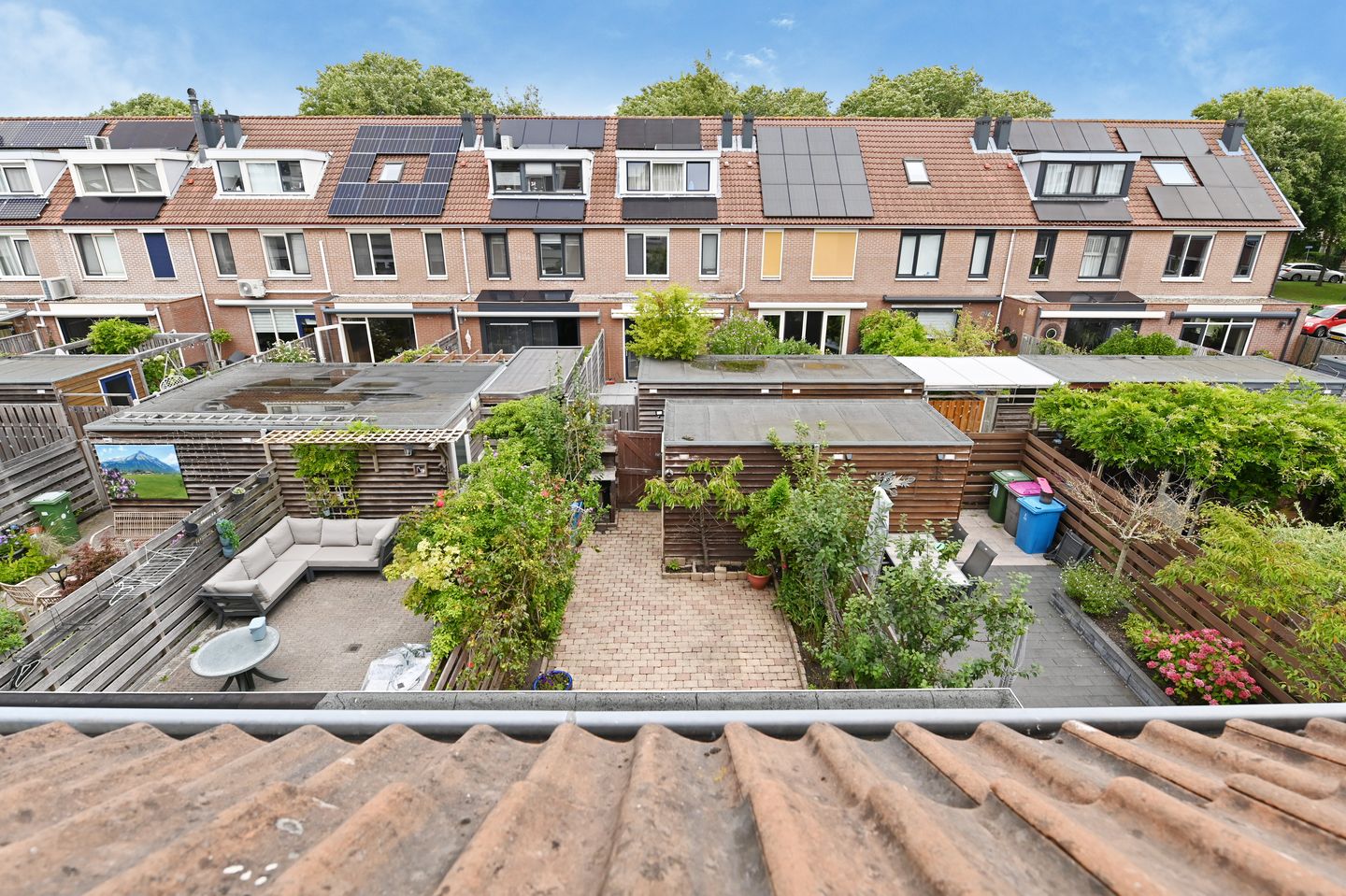 Foto 34 van Vrouwenmantel 13