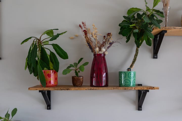 Foto 20 van Perziklaan 48