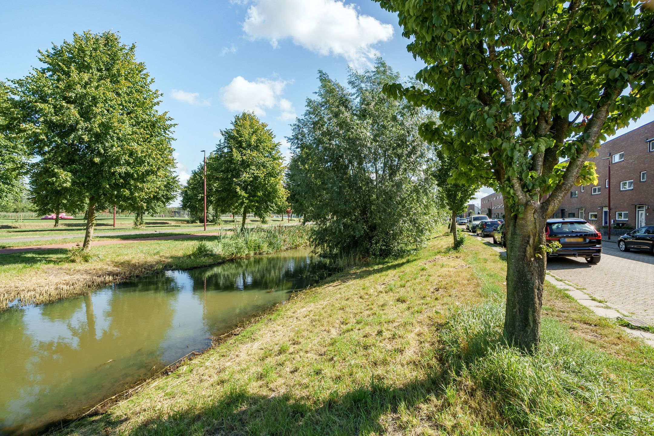 Foto 3 van Anne de Vrieshove 24