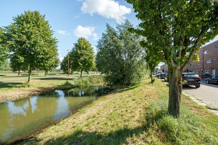 Foto 3 van Anne de Vrieshove 24