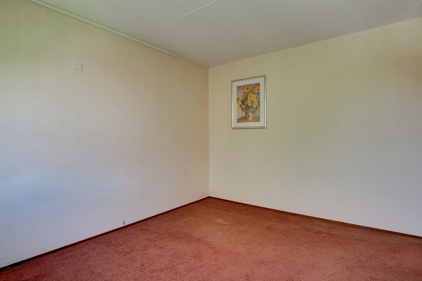 Photo 29 of Groef 12