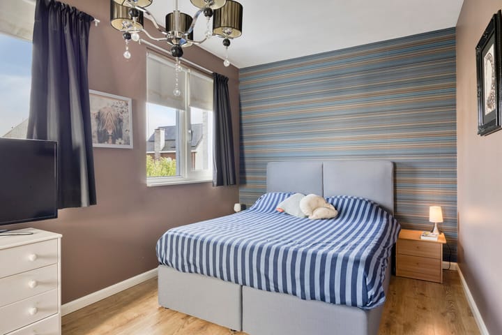 Foto 11 van Havikskruid 53