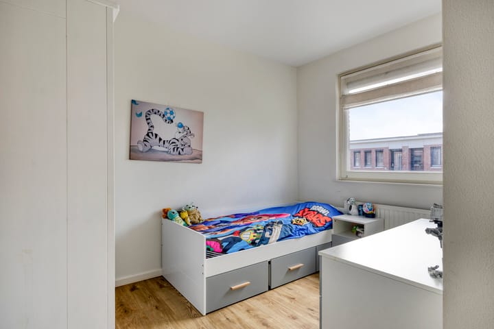 Foto 12 van Havikskruid 53