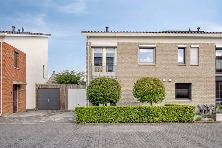 Foto 24 van Havikskruid 53