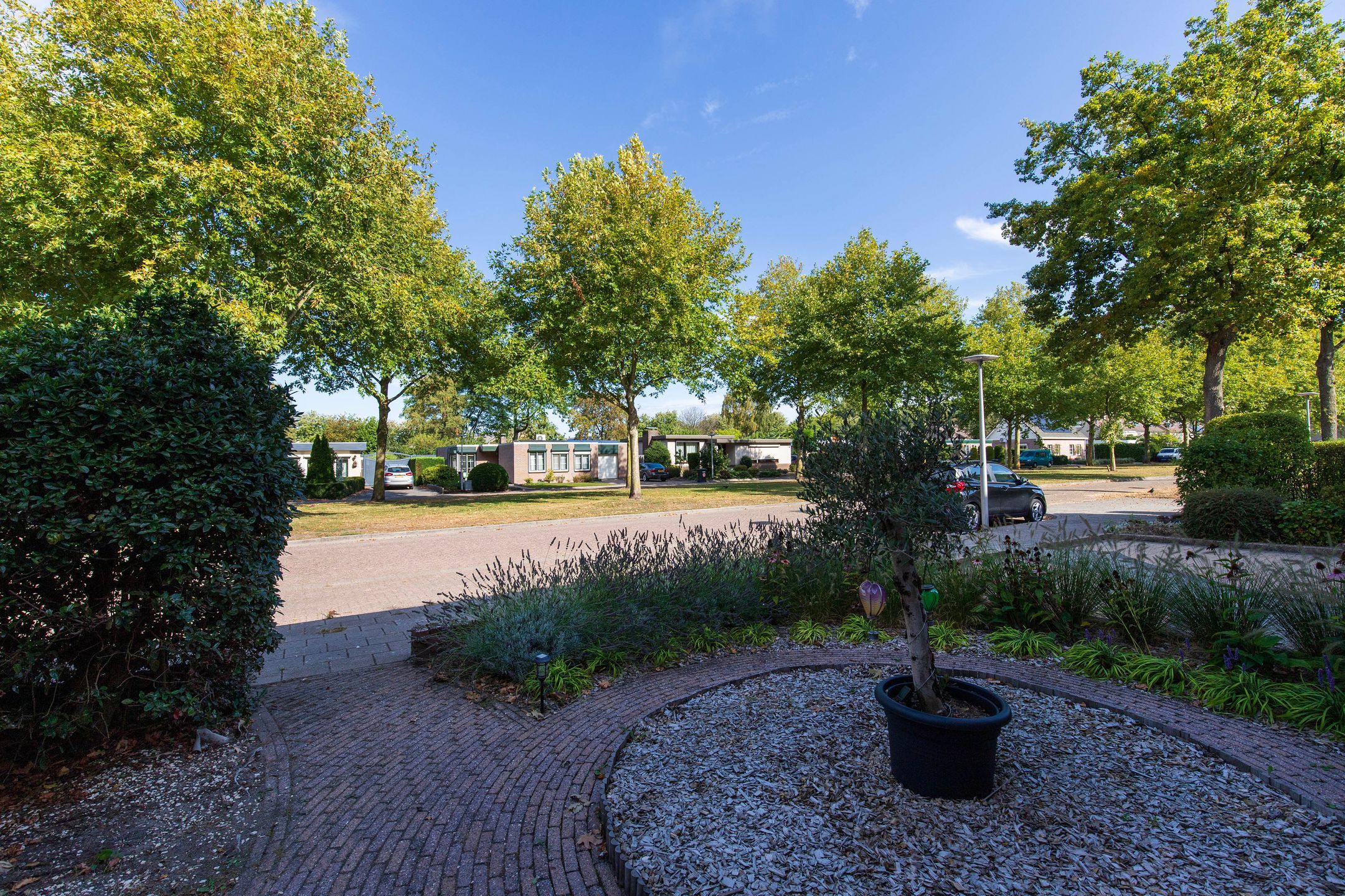 Photo 3 of Ligusterstraat 24