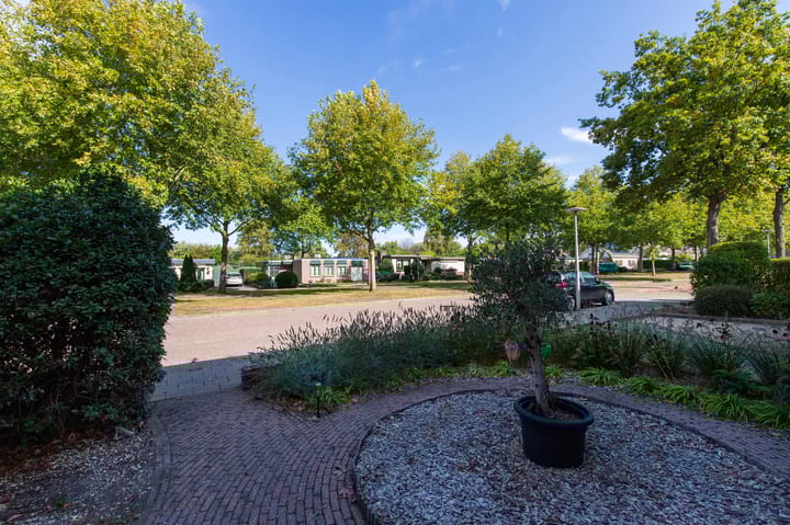 Foto 3 van Ligusterstraat 24