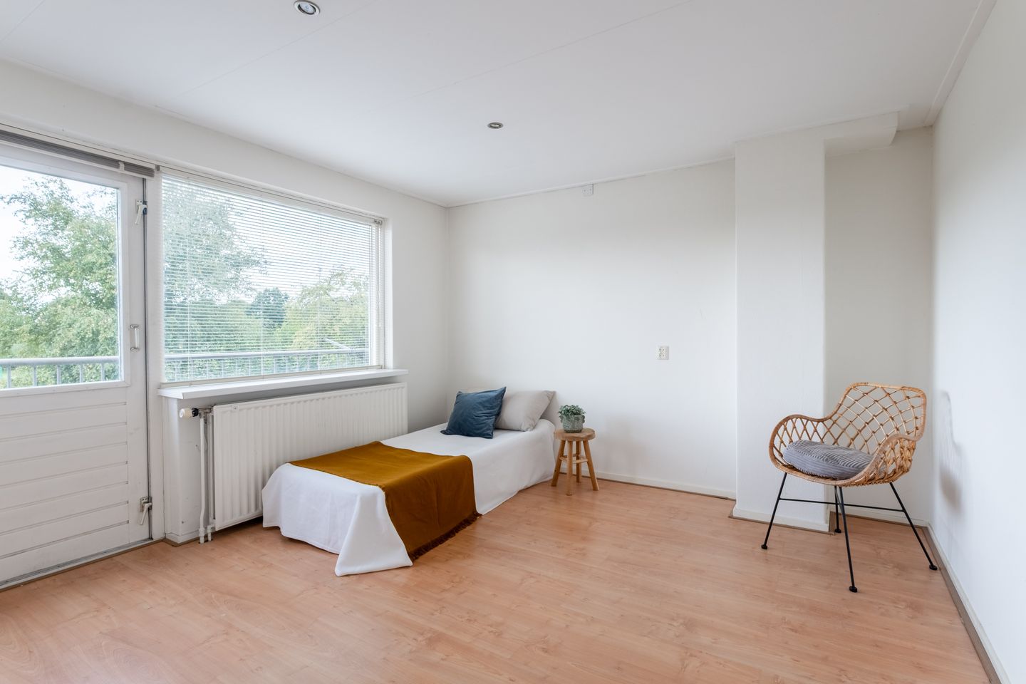 Foto 5 van Goeman Borgesiuslaan 33