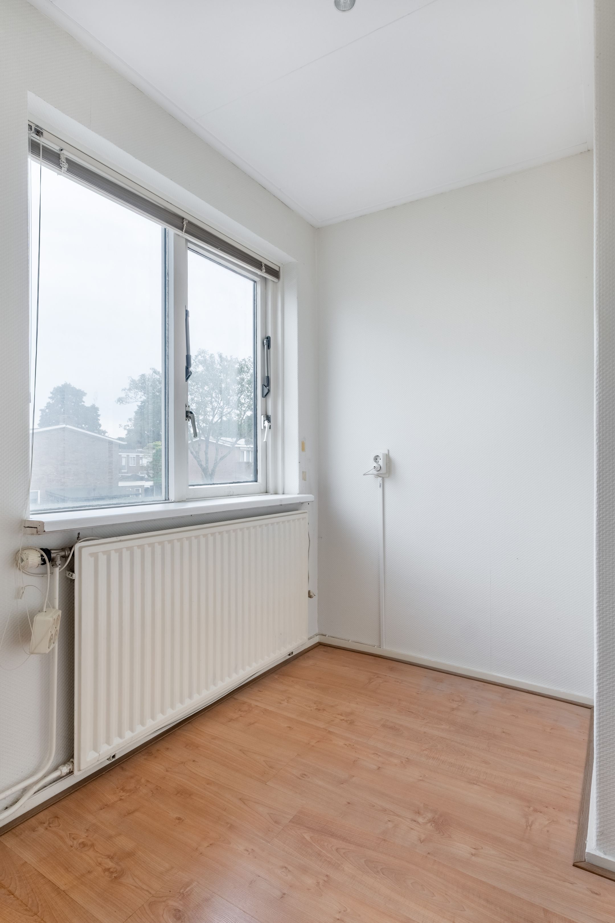 Foto 30 van Goeman Borgesiuslaan 33