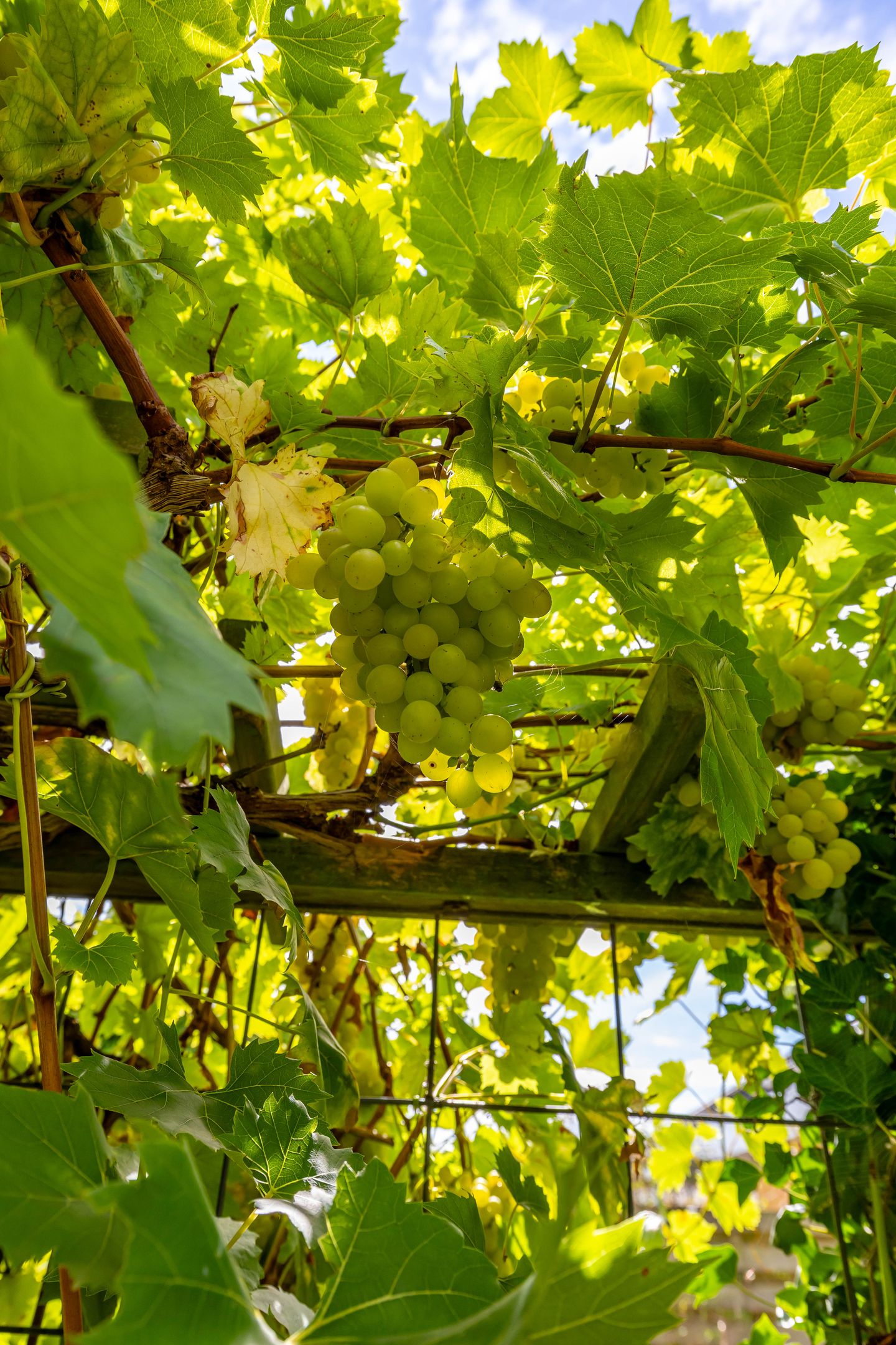 Foto 44 van B.H. Broekemastraat 24