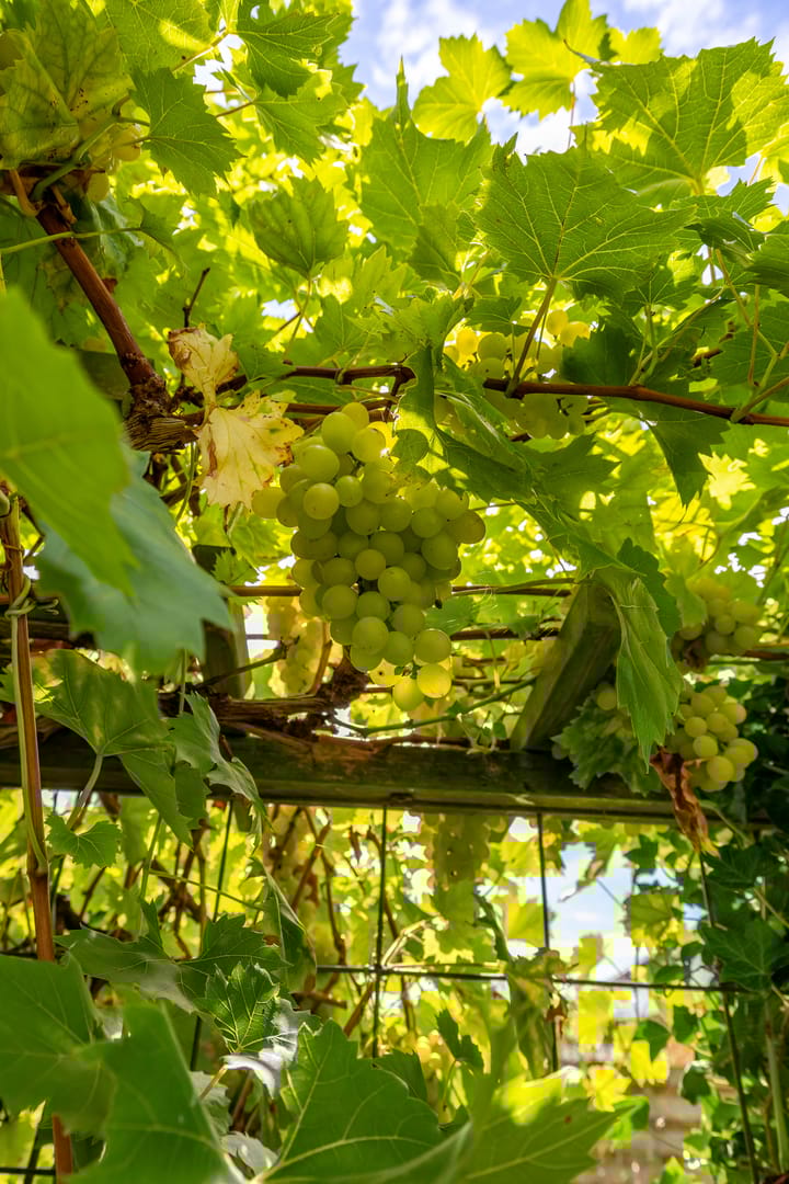 Foto 44 van B.H. Broekemastraat 24