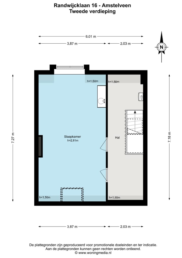 Foto 40 van Randwijcklaan 16