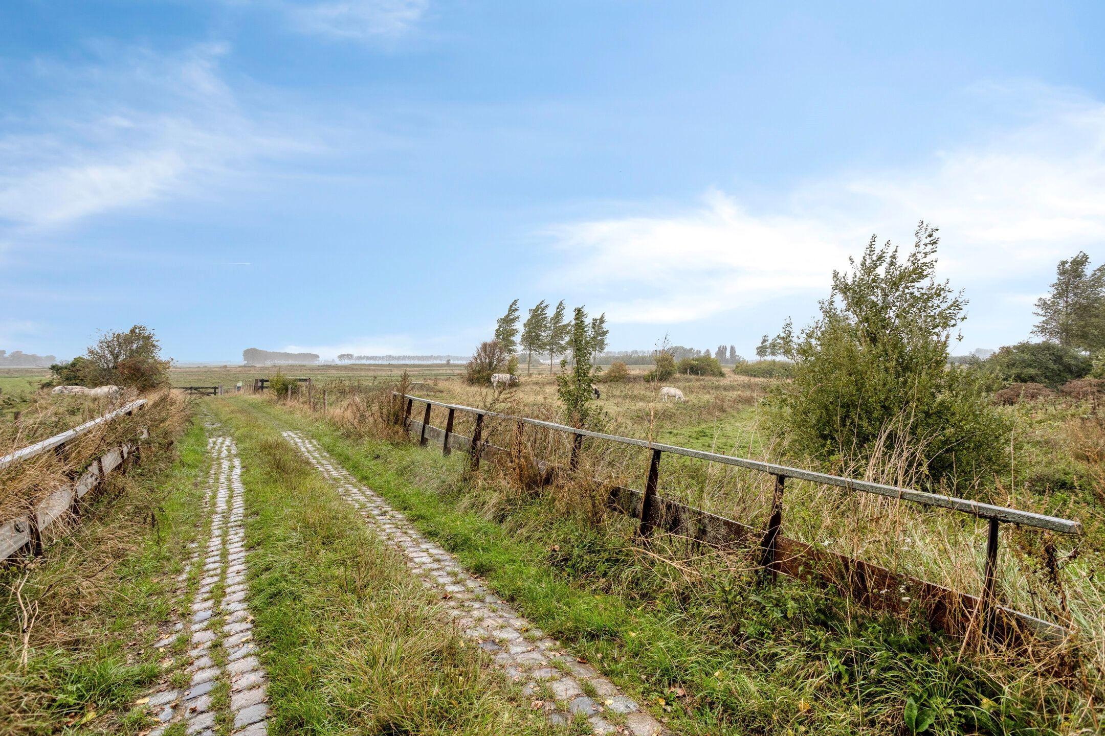 Foto 36 van Hoogstraat 79-201