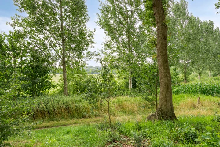 Foto 31 van Hoog Barge 21