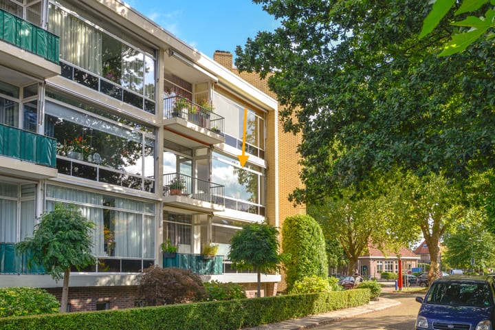 Foto 2 van Merelhof 12