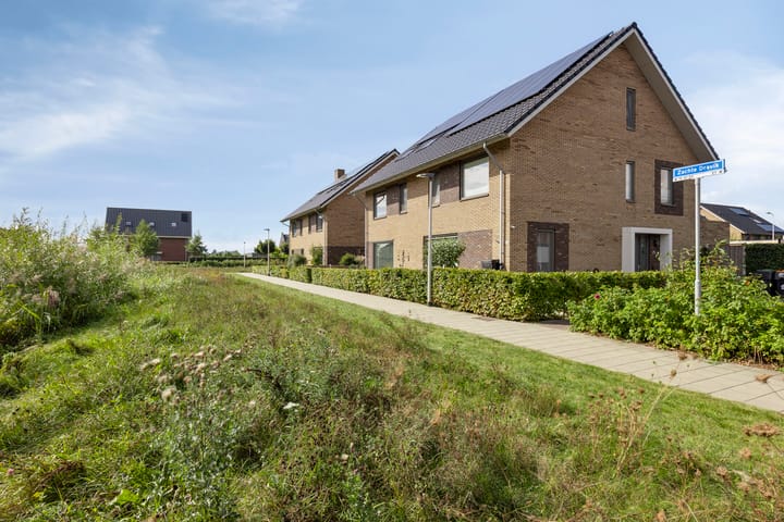 Foto 42 van Zachte Dravik 25