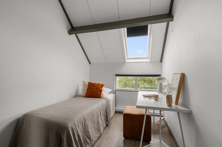 Foto 21 van Voorthuizenstraat 48