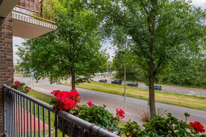 Foto 57 van Meppelweg 823