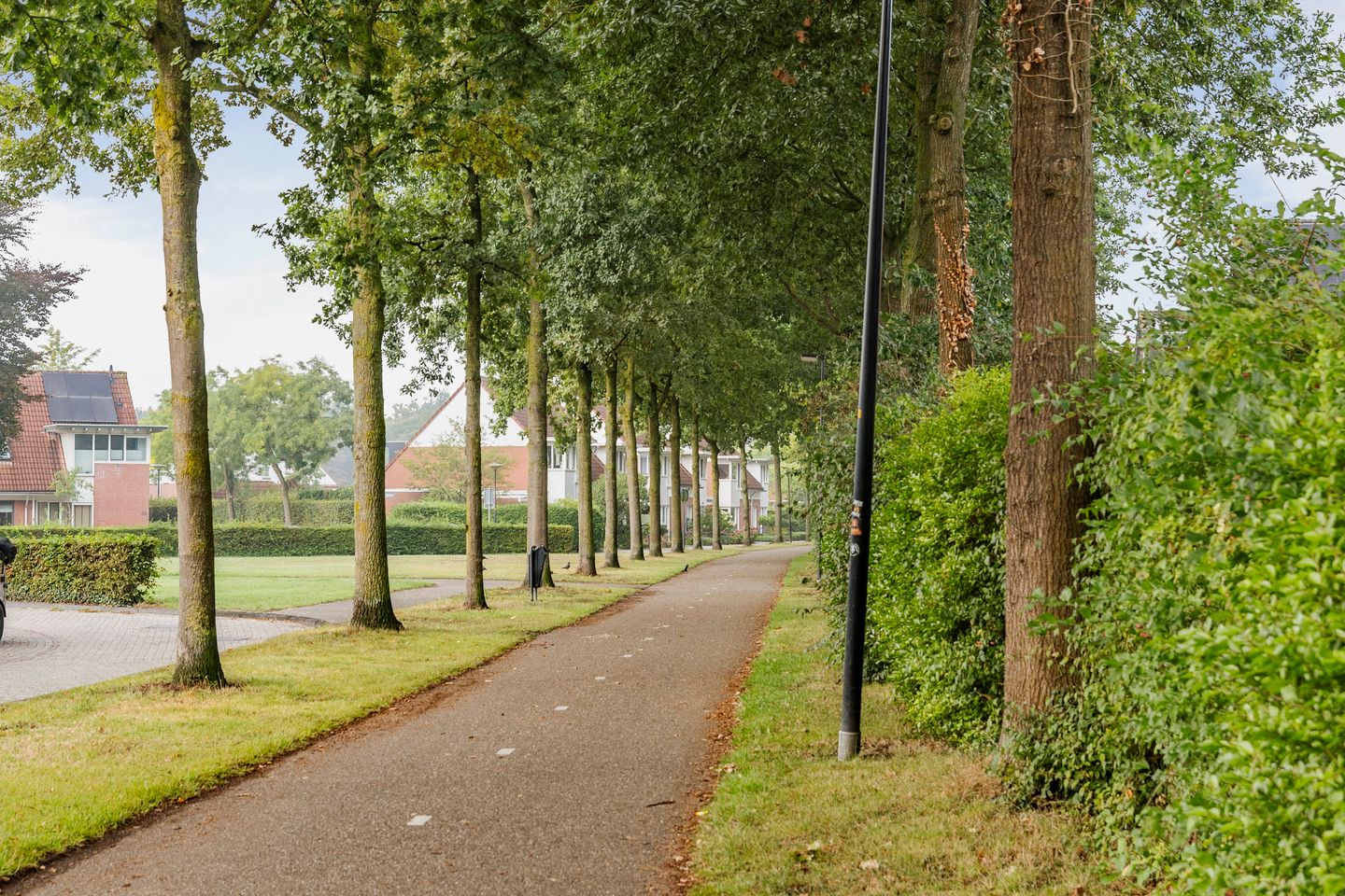 Photo 44 of Bernard Zweersstraat 23