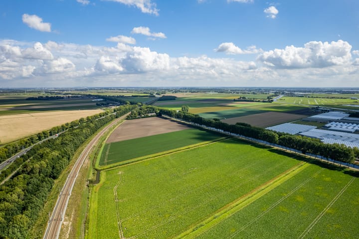 Photo 50 of Lisserdijk 30