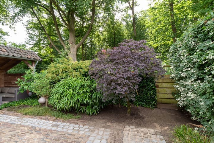 Foto 37 van Dennenlaan 94