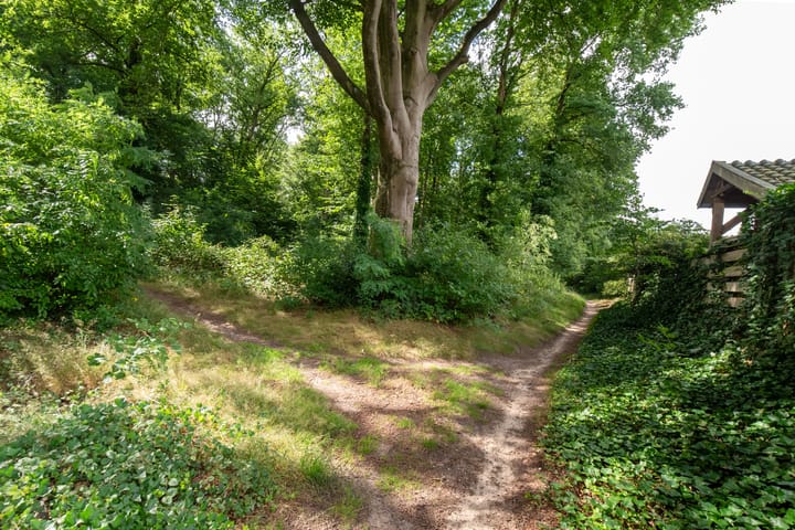 Foto 43 van Dennenlaan 94