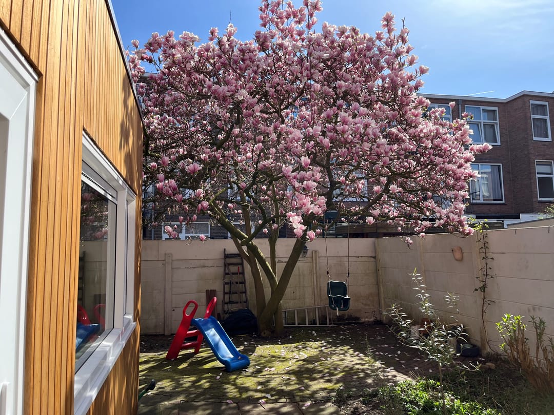 Foto 37 van Rhododendronstraat 60