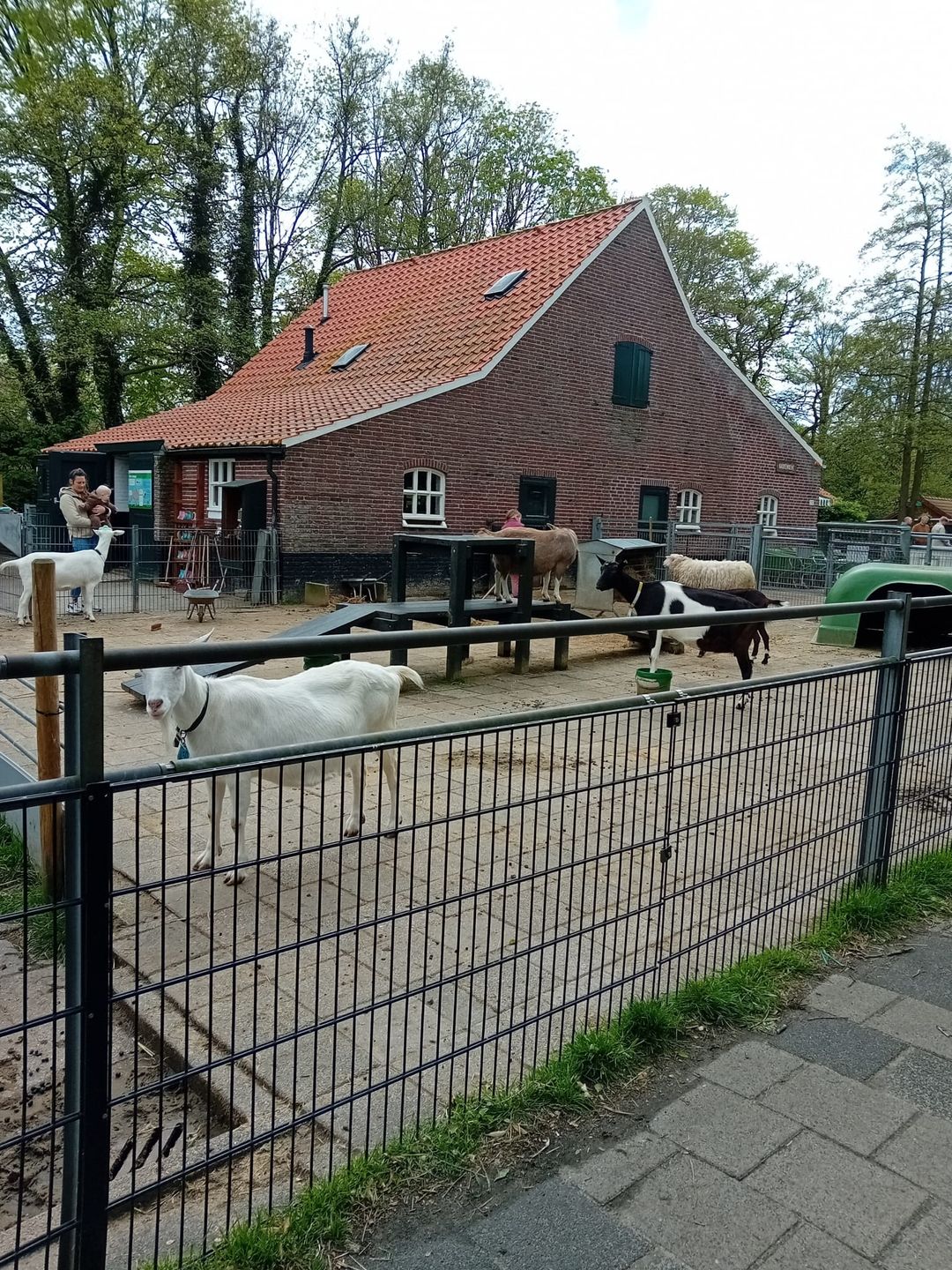 Foto 43 van Rhododendronstraat 60