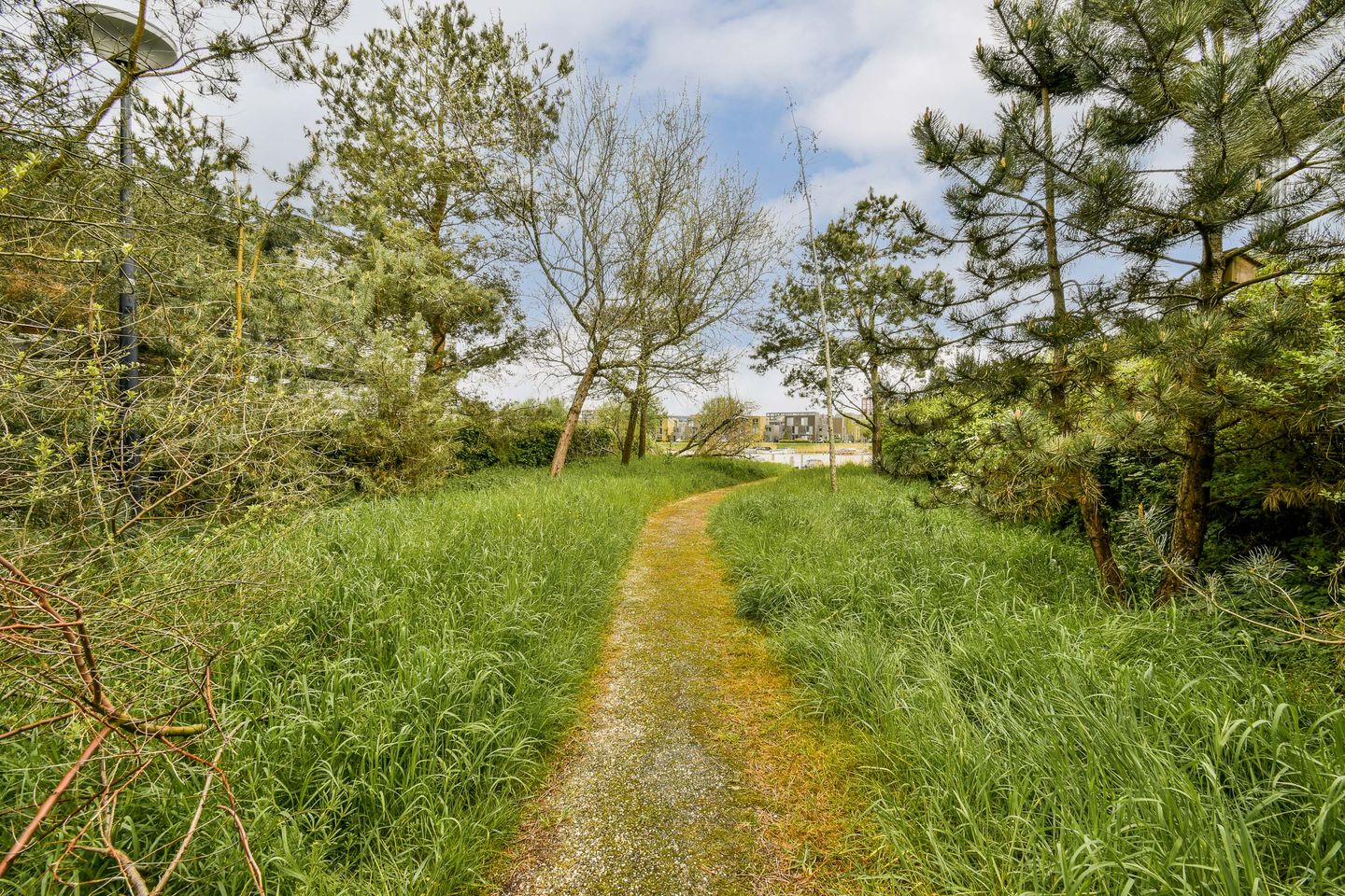 Foto 49 van Tamariskhof 7