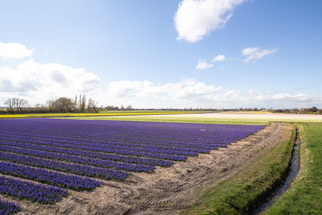 Photo 28 of Graanhuis 5