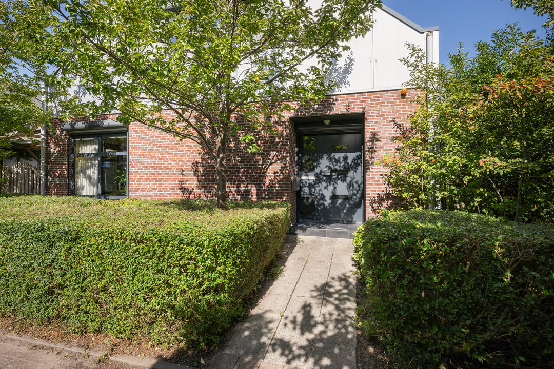 Photo 2 of Leenman 8