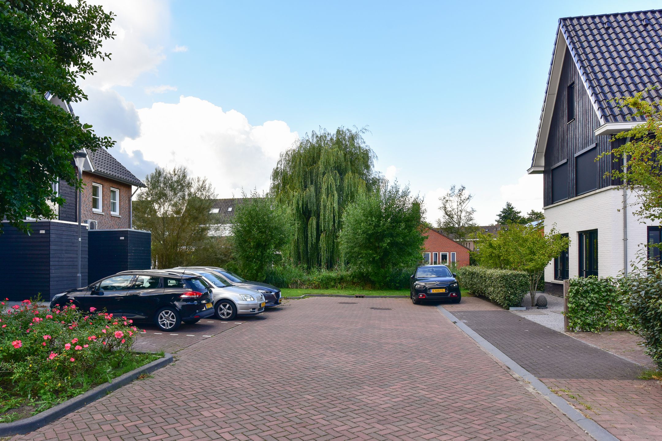 Foto 30 van Wilgenroos 2