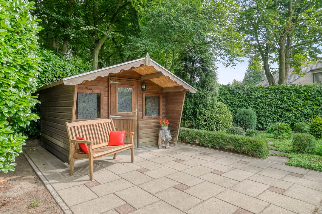 Foto 52 van Heilige Stoel 6829