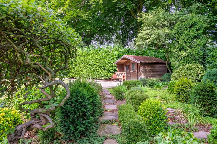 Photo 50 of Heilige Stoel 6829