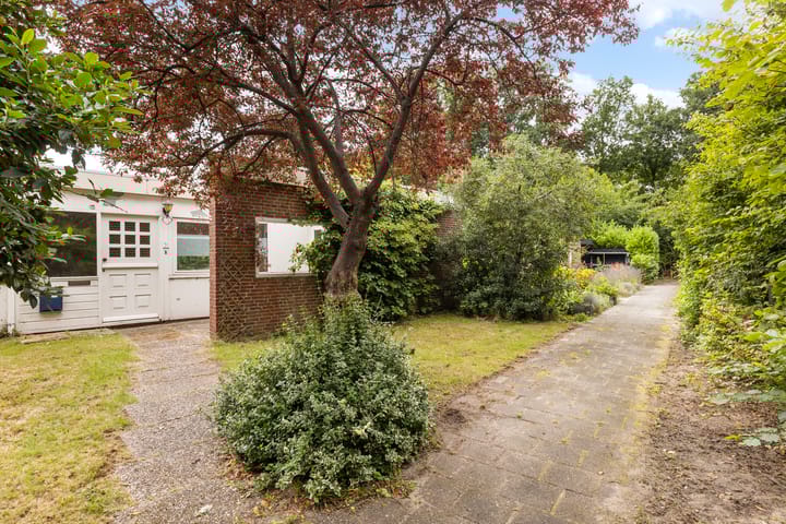 Foto 8 van Leemkoelen 31