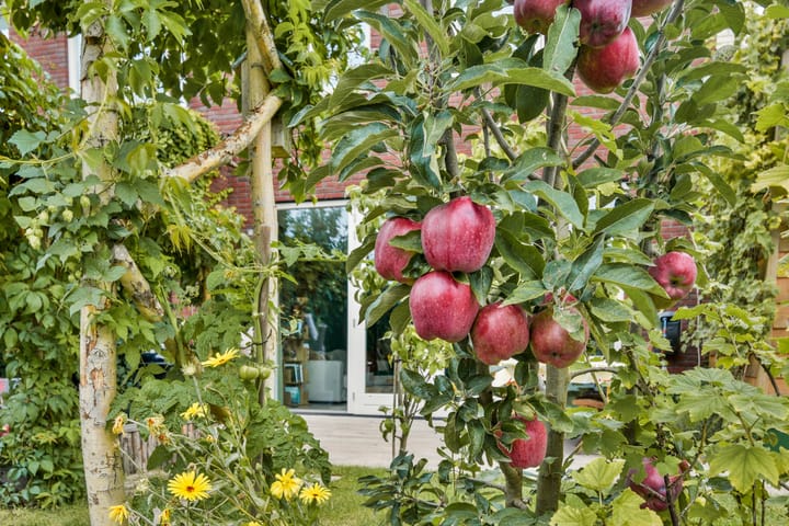 Foto 32 van Hooizolder 24